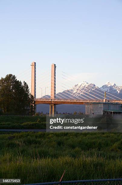 golden ears bridge langley in the evening - surrey british columbia stock pictures, royalty-free photos & images