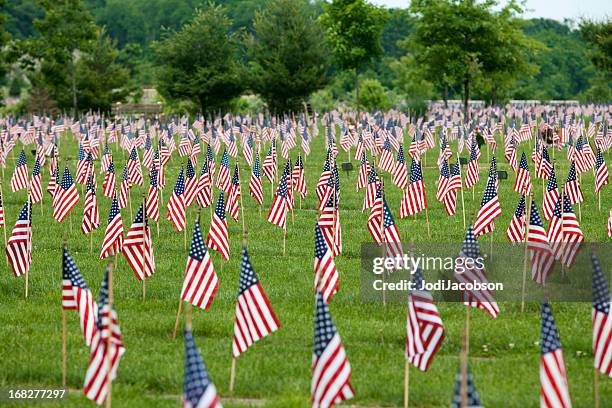 drapeaux américains sur veteran's graves - memorial service photos et images de collection