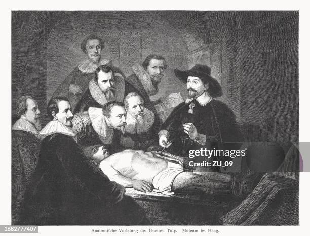 anatomy lesson of dr. nicolaes tulp, by rembrandt, woodcut, 1878 - 17th century stock illustrations