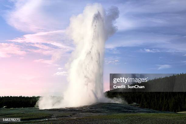 old faithful geyser in the evening - old faithful geyser stock pictures, royalty-free photos & images