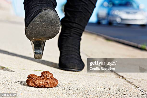 woman's booted foot approaching pile of dog poo - oops - stepping stock pictures, royalty-free photos & images