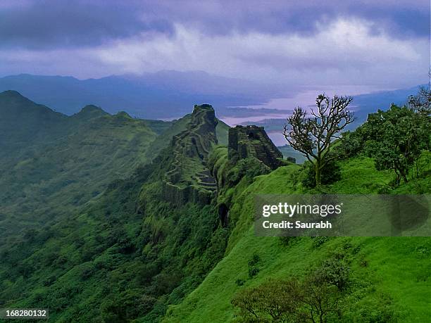 rajgarh - pune stock pictures, royalty-free photos & images