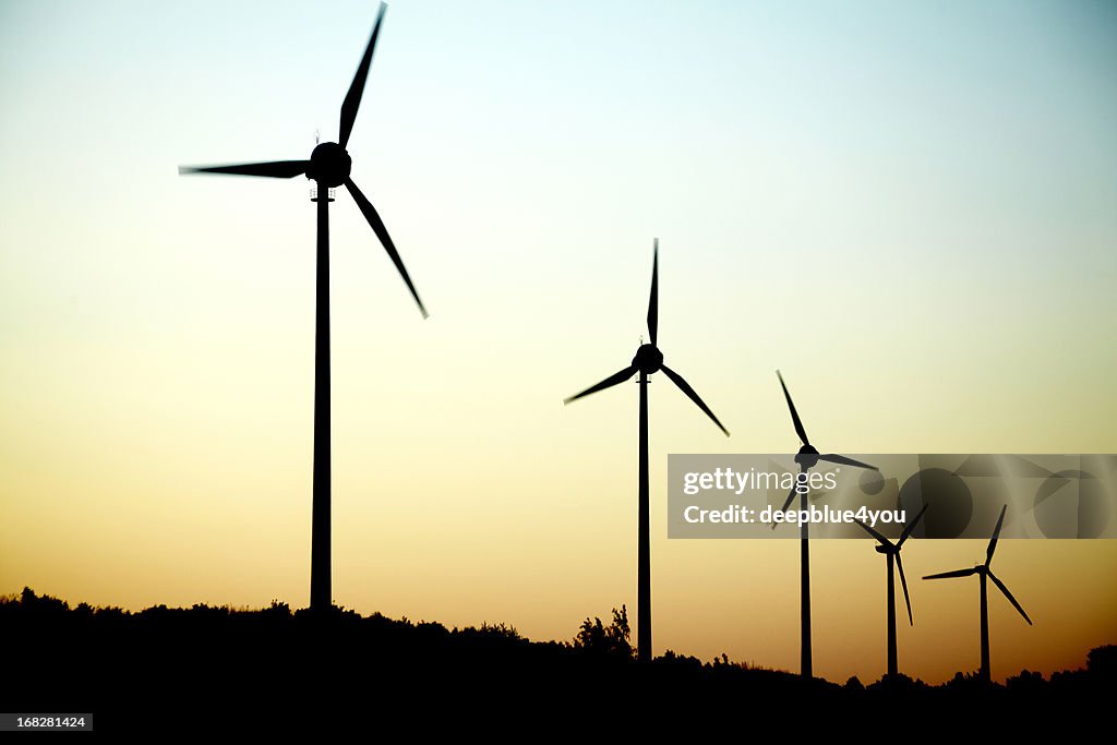 Windmills in a row at dusk