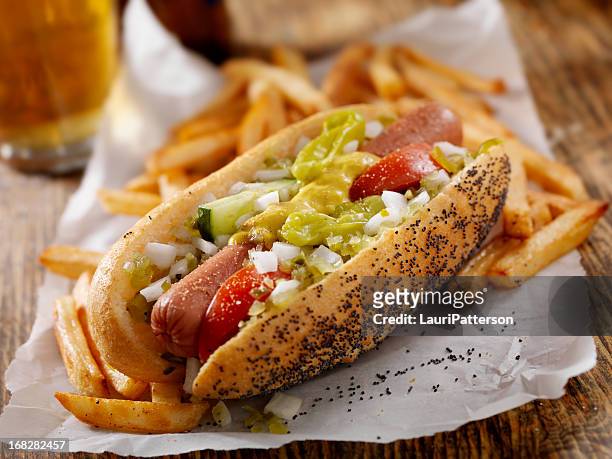 chien avec des frites traditionnel de chicago - achards photos et images de collection