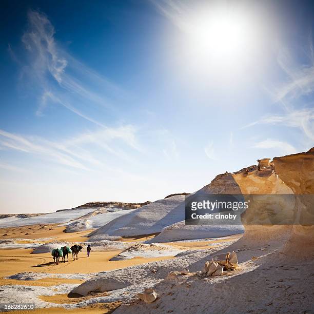 trip to the other planet - white desert stock pictures, royalty-free photos & images