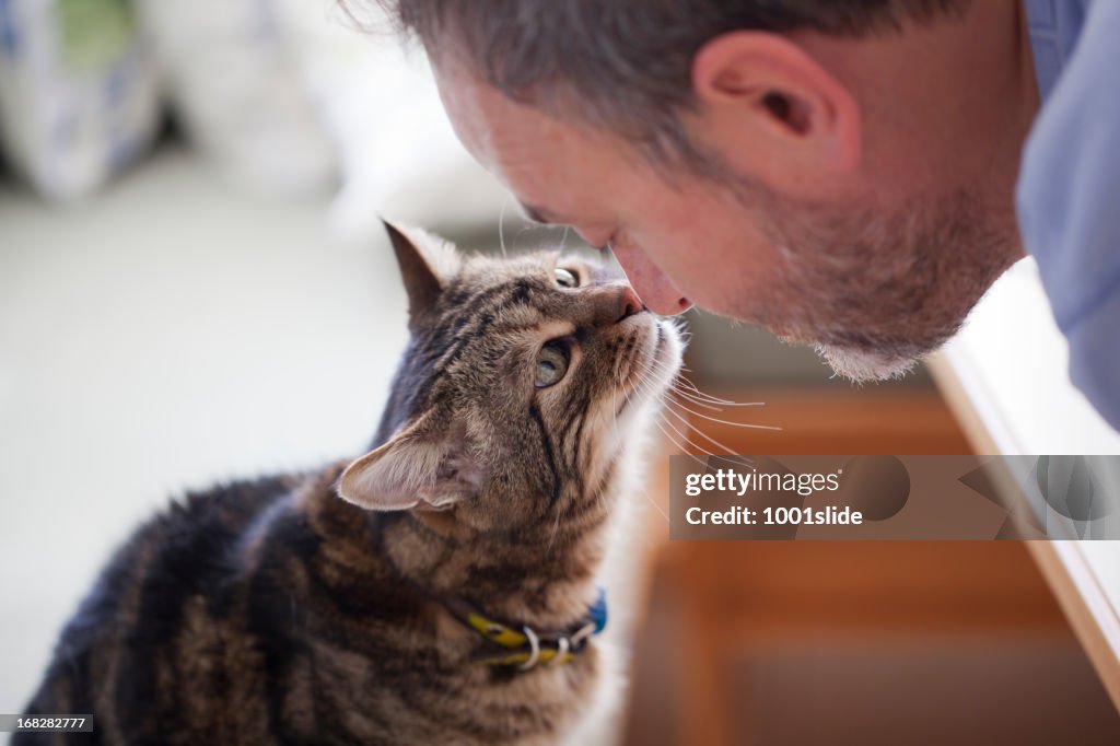 Man and old cat: real Love