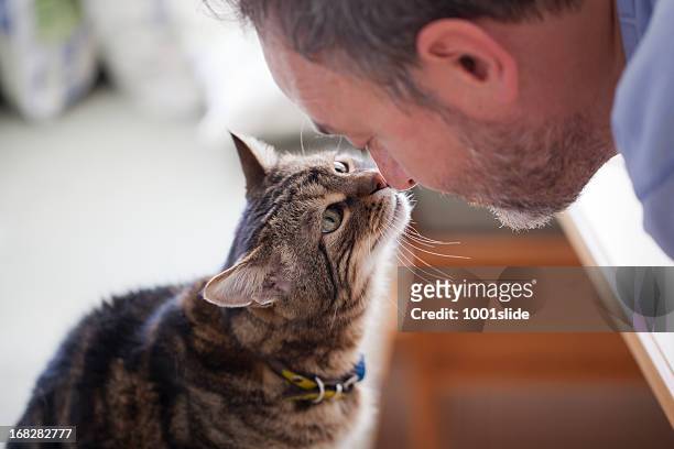 man and old cat: real love - cute or scary curious animal costumes from the archives stockfoto's en -beelden