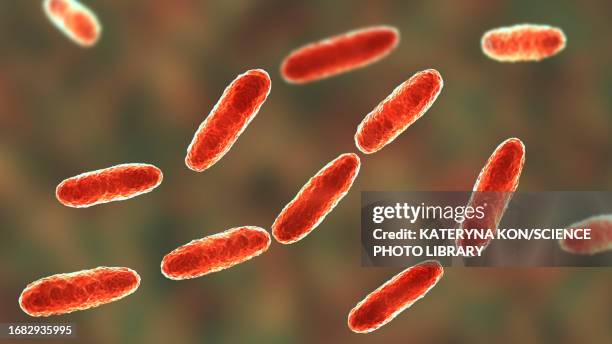 klebsiella bacteria, illustration - klebsiella stock illustrations