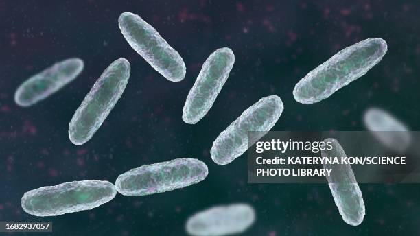 klebsiella bacteria, illustration - klebsiella stock illustrations