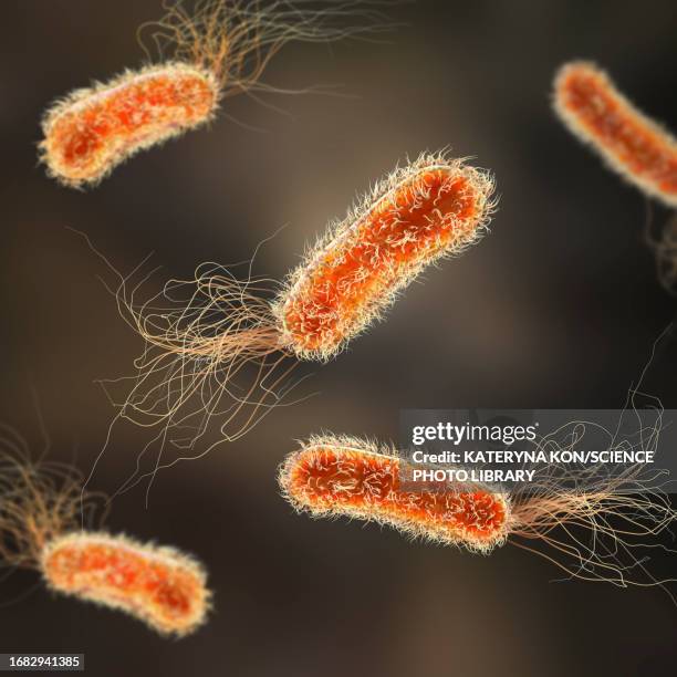 pseudomonas aeruginosa bacteria, illustration - chronic wound stock illustrations