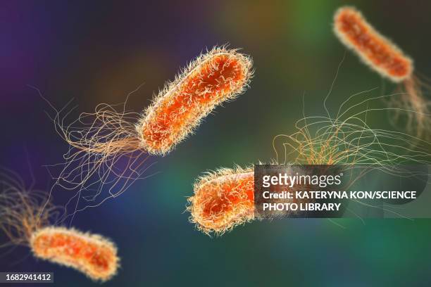 pseudomonas aeruginosa bacteria, illustration - chronic wound stock illustrations