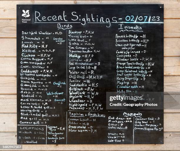 Recent bird and wildlife sightings listed on blackboard, Dunwich Heath, Suffolk, England, UK.