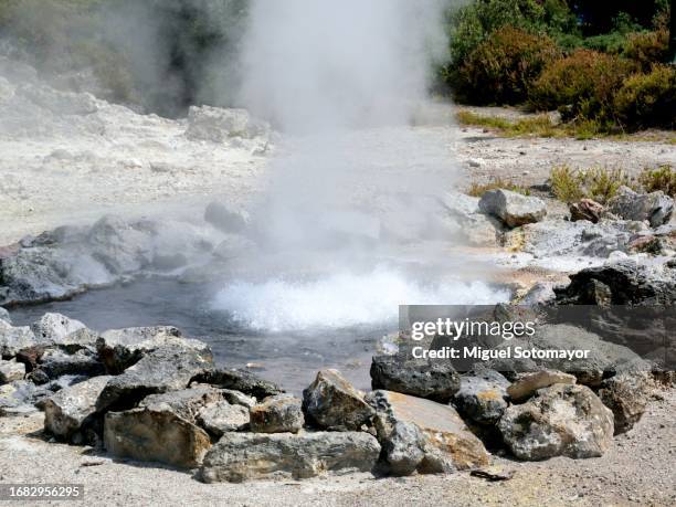 thermal area, with boiling water - furnas valley stock pictures, royalty-free photos & images