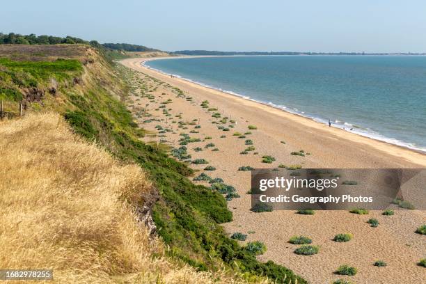 Vegetated cliffs and beach from Dunwich, Heath, Suffolk, England, UK.