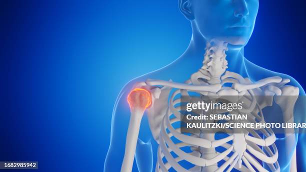 male shoulder joint, illustration - acromion stock illustrations