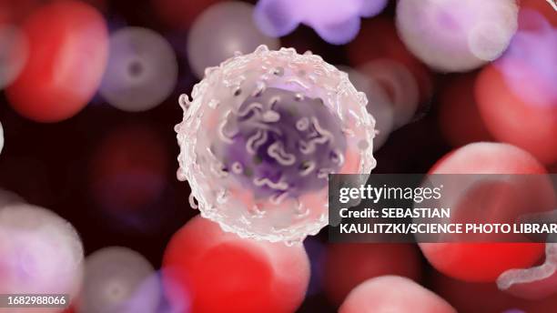 illustrazioni stock, clip art, cartoni animati e icone di tendenza di leukocyte, illustration - macrofago
