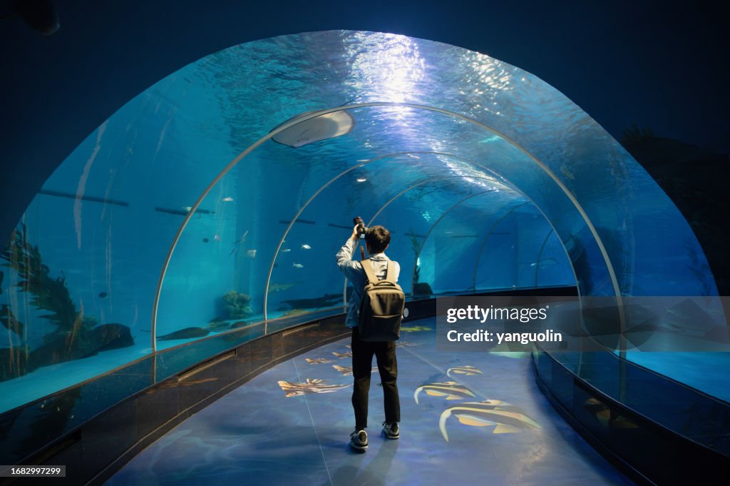 A male backpacker is holding a camera in the aquarium to capture marine life records - weekend activities, travel life, people and life