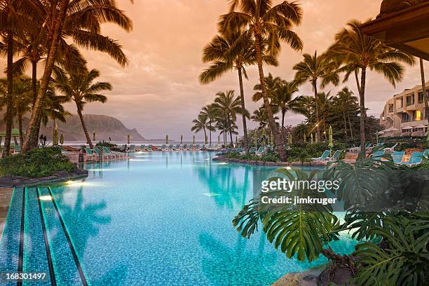 luxurious hawaiian 5 star resort. - tropical climate stock pictures, royalty-free photos & images