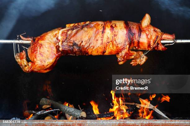 malvaviscos cerdito - pig roast fotografías e imágenes de stock