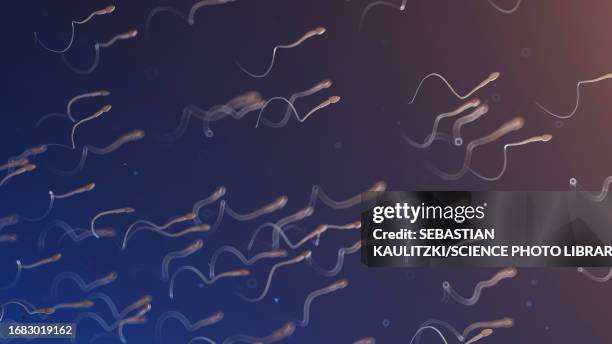 sperm, illustration - cell structure stock illustrations
