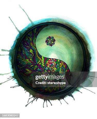 Ying Yang Spin Ying Yang Spin
