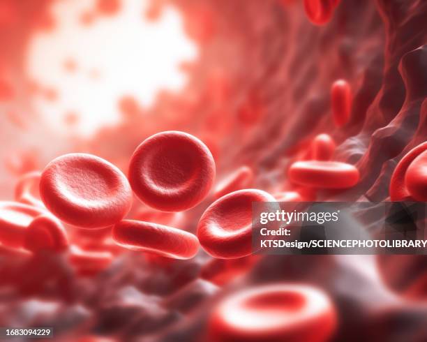 stockillustraties, clipart, cartoons en iconen met red blood cells, illustration - bloedcel