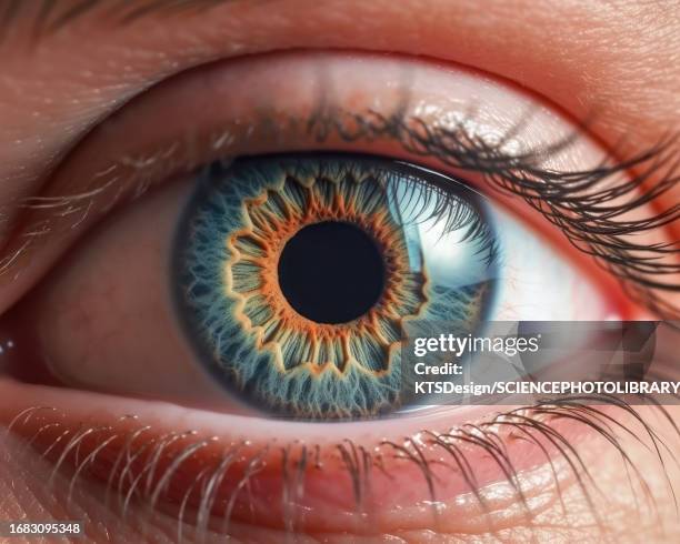 ilustrações de stock, clip art, desenhos animados e ícones de human eye, composite image - córnea