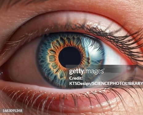 Human eye, composite image Human eye, composite image