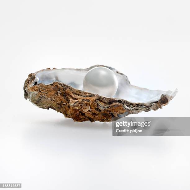 pearl in der oyster shell - perle stock-fotos und bilder