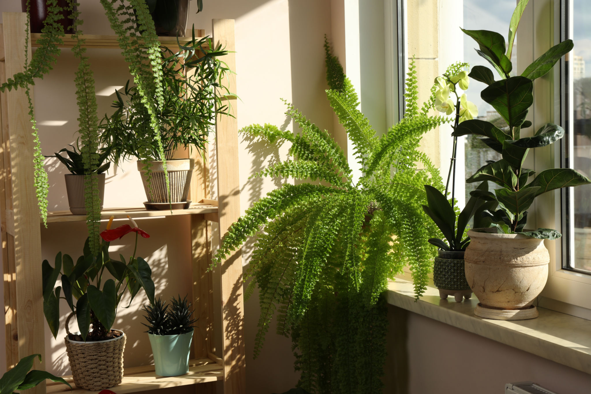 natural elements in home