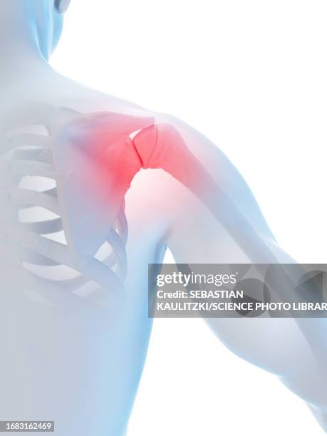 ilustraciones, imágenes clip art, dibujos animados e iconos de stock de male shoulder joint, illustration - human anatomy organs back view