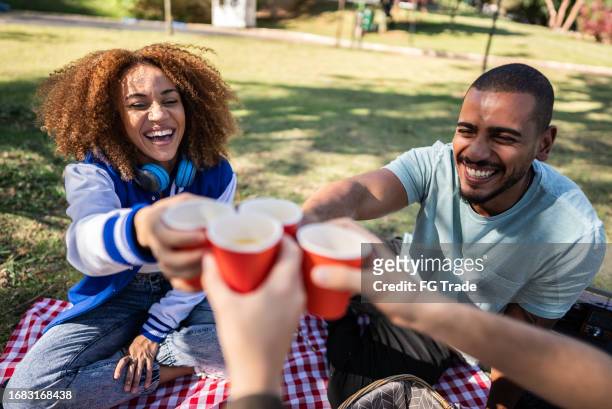 friends making a toast during picnic on the public park - university student picnic stock pictures, royalty-free photos & images