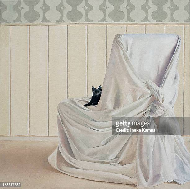 black kitten on white chair - maastricht stock pictures, royalty-free photos & images