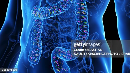 Microbiome, illustration Microbiome, illustration