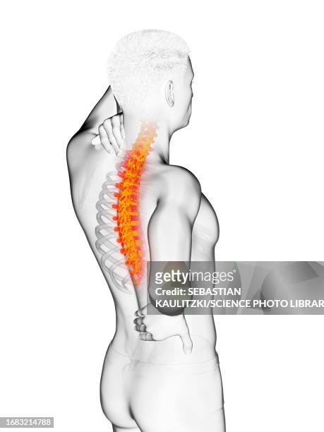 man with backache, illustration - vertebrae stock illustrations