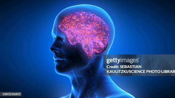 infected human brain, illustration - human brain stock illustrations