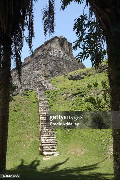 mayan temple - belize stock pictures, royalty-free photos & images