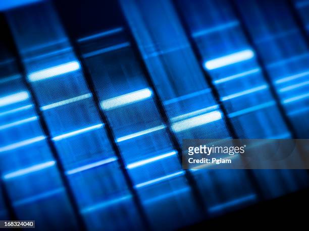 genetic research at the laboratory - dna stockfoto's en -beelden