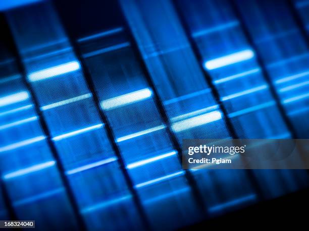 investigação genética no laboratório - color boost imagens e fotografias de stock