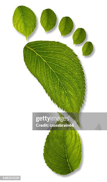 footprint of leaves with clipping path xxl - green footprint stock pictures, royalty-free photos & images
