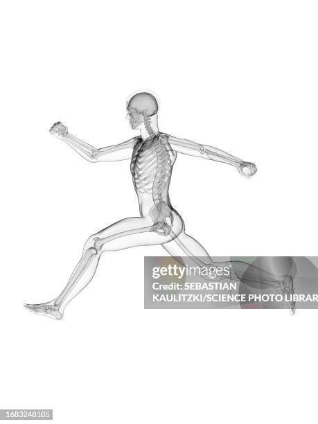 man running, illustration - meniscus stock illustrations