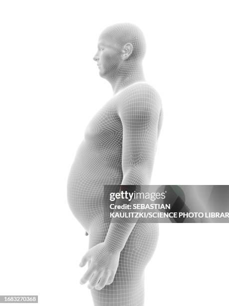 obese male body, illustration - heavy stock illustrations