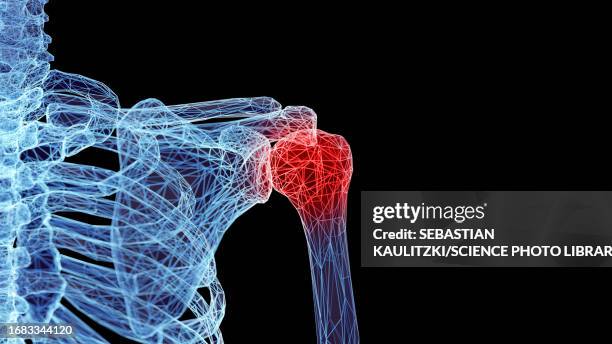 shoulder bones, illustration - acromion stock illustrations