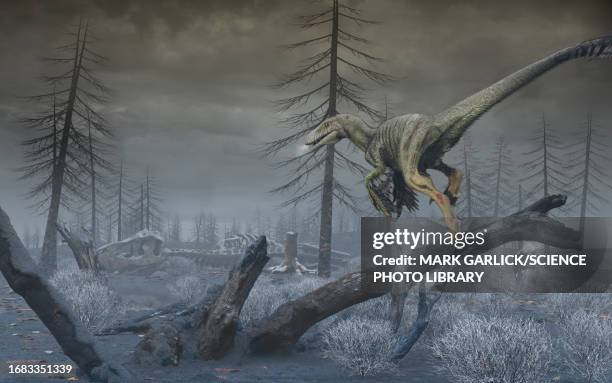 chicxulub impact aftermath - chicxulub stock illustrations