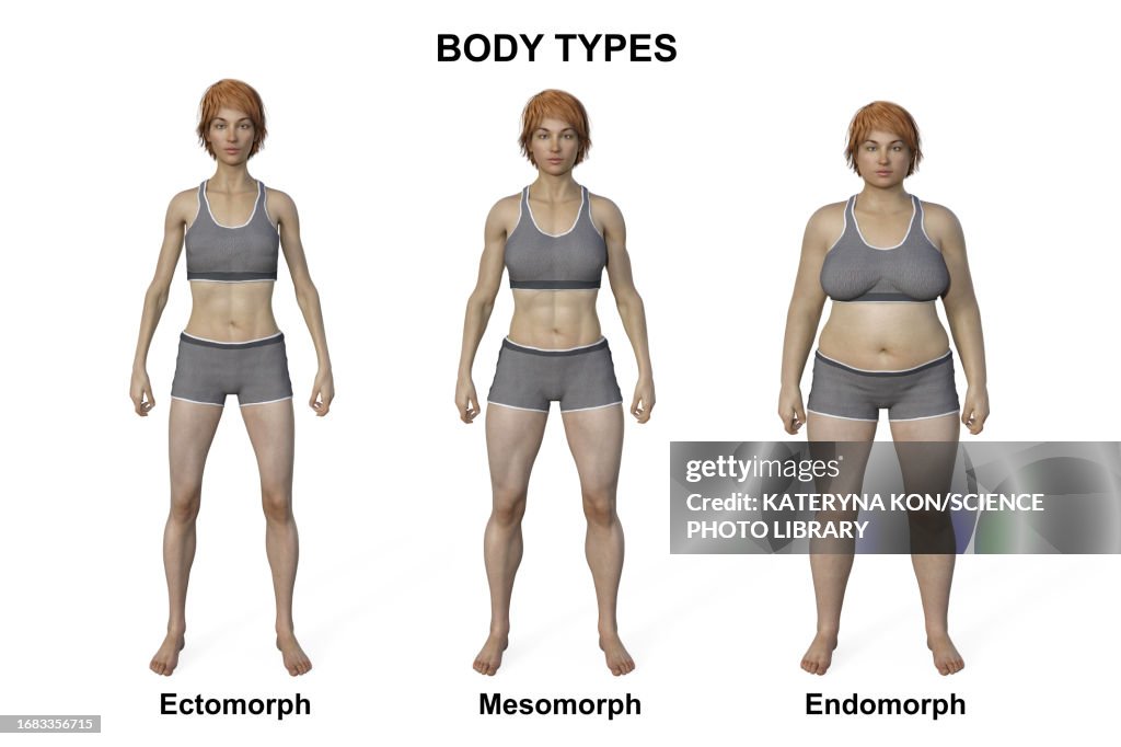 Body Types Photo Female Body Types Illustration High-Res Vector Graphic - Getty Images