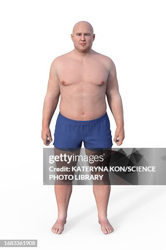 Endomorphic Back Male Endomorph Body Type Illustration High-Res Vector Graphic - Getty ...