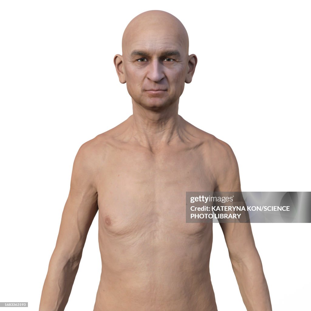 Upper Body Vector Image Male Upper Body Illustration High-Res Vector Graphic - Getty Images