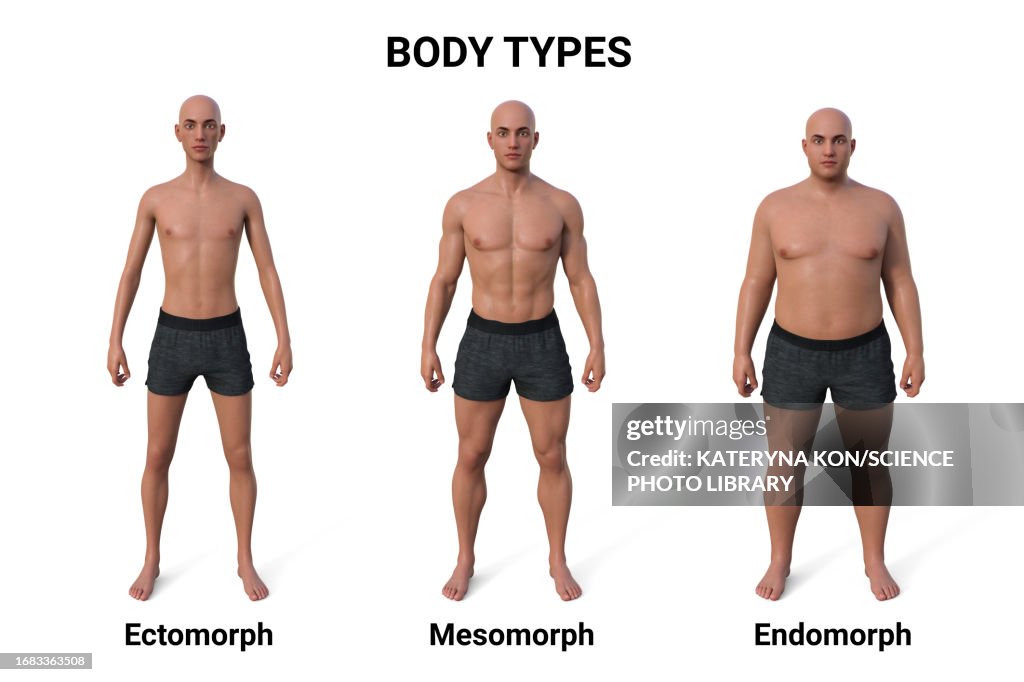 Male Body Types Illustration HighRes Vector Graphic Getty Images