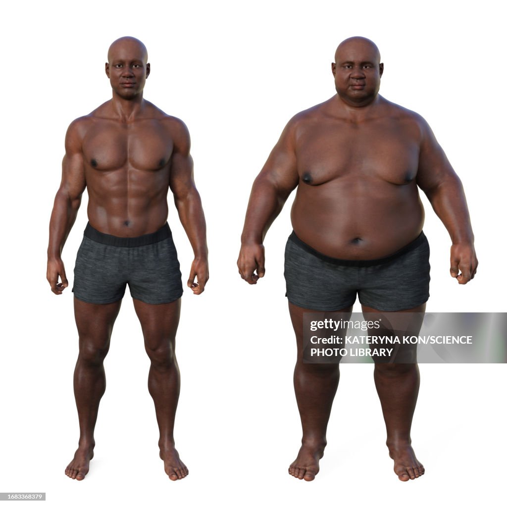 Men Body Types Male Body Types Illustration High-Res Vector Graphic - Getty Images