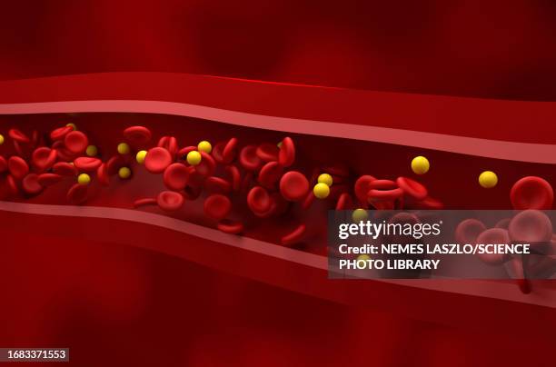 illustrations, cliparts, dessins animés et icônes de normal level of cholesterol in blood, illustration - lipide